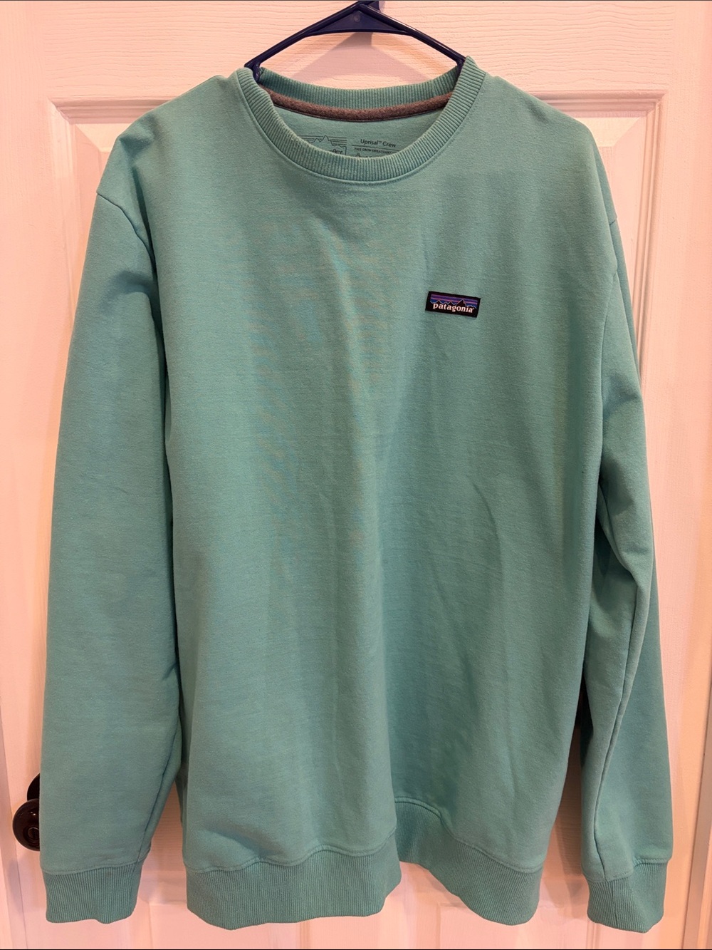 Patagonia Men's Crewneck Sweatshirt in Mint Green